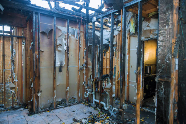 Professional Odor Removal technician working in Addison, TX