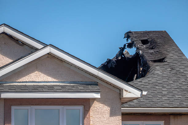 Top rated local Odor Removal specialists in Addison, TX